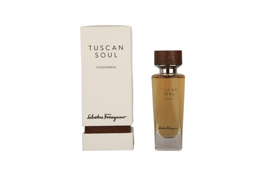 Salvatore Ferragamo Vendemmia for women and men